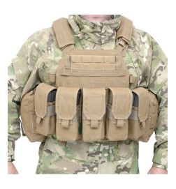 DCS  Plate Carrier - COYOTE [ WARRIOR ASSAULT SYSTEM ]