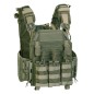 STORM PLATE CARRIER WITH QUICK RELEASE SYSTEM + TRIPLE MAG. POUCH - DEFCON 5