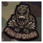 Fun Sponge (forest)